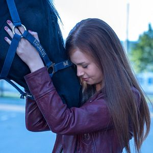 Bilder Ostwind 5 - Der große Orkan