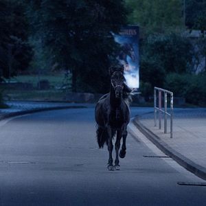 Bilder Ostwind 5 - Der große Orkan