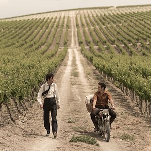 Bilder El verano que vivimos