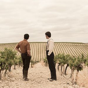 Bilder El verano que vivimos