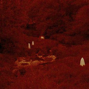 Bilder Red Moon Tide