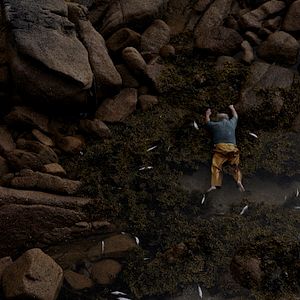 Bilder Red Moon Tide