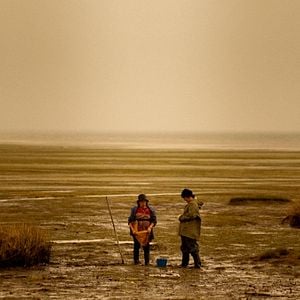 Bilder Red Moon Tide