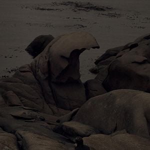 Bilder Red Moon Tide