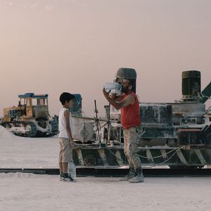 Bilder Should the Wind Fall