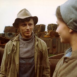 Bilder Lerchen am Faden