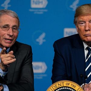 Bilder Totally Under Control