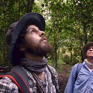 Bilder Homo Botanicus