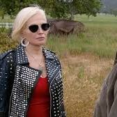 Bilder Animal Kingdom