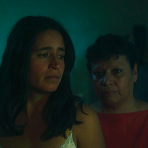 Bilder Flora Y Fauna