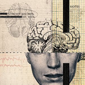 Bilder Crazy, Not Insane