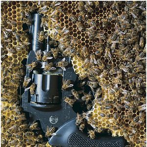 Bilder Exemplary Behaviour