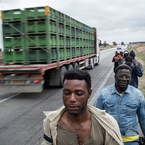 Bilder Das Neue Evangelium