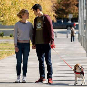 Bilder Jessica Rothe