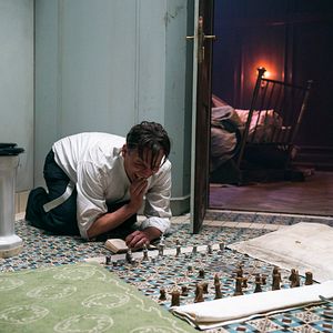 Bilder Schachnovelle