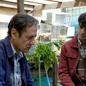 Bilder Mikel Laskurain