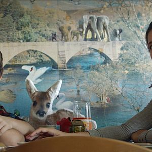 Bilder Leopold Pallua