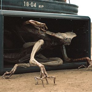 Bilder Sputnik - Es wächst in dir