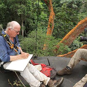 Bilder Francis Hallé