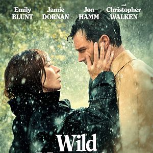 Bilder Der Duft von wildem Thymian