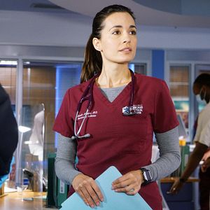 Bilder Torrey DeVitto