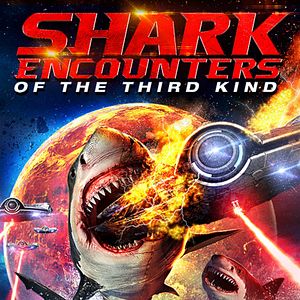 Bilder Shark Encounters Of The Third Kind