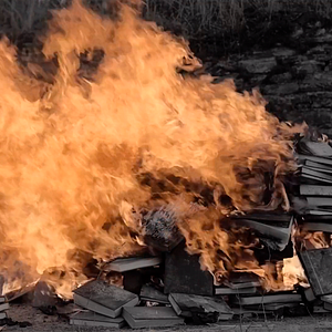 Bilder Palabras para un fin del mundo