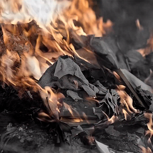 Bilder Palabras para un fin del mundo