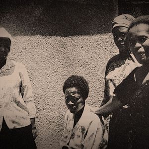 Bilder ReMastered: The Lion's Share