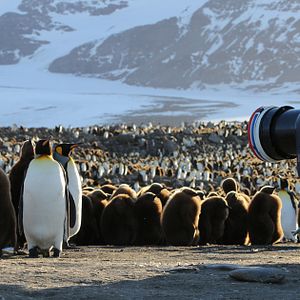 Bilder Our Planet: Behind the Scenes