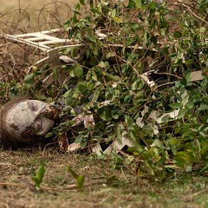 Bilder The Walking Dead: World Beyond