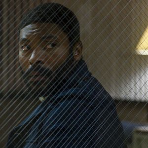 Bilder I’m Your Woman