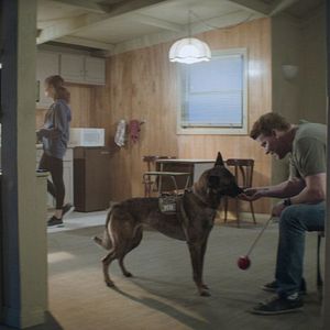 Bilder David Boreanaz