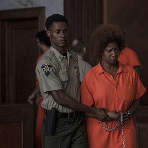 Bilder Melanie Nicholls-King