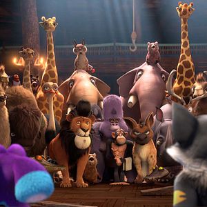 Bilder Ooops! 2 - Land in Sicht