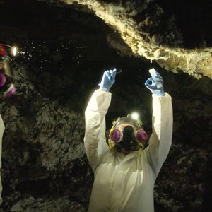 Bilder Außerirdische Welten