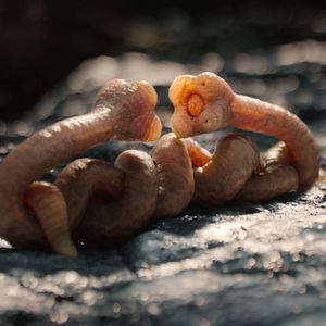 Bilder Außerirdische Welten