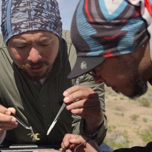 Bilder Außerirdische Welten