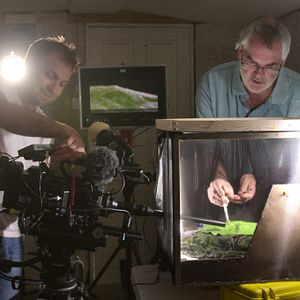 Bilder Außerirdische Welten