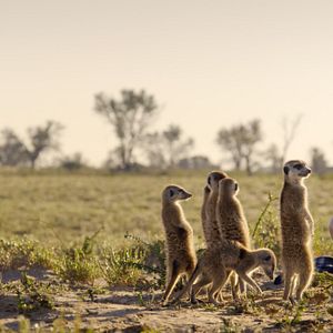 Bilder Außerirdische Welten