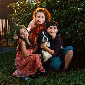 Bilder Schon wieder Weihnachten