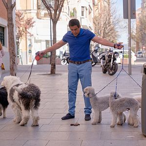 Bilder Pablo Chiapella