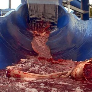 Bilder Aquaslash - Vom Spassbad zum Blutbad