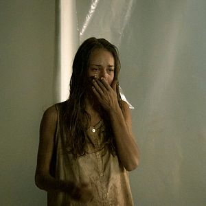 Bilder Breeder - Die Zucht