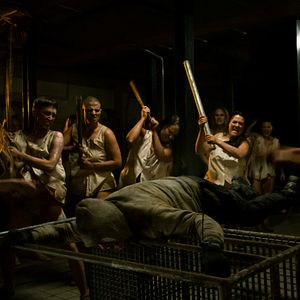 Bilder Breeder - Die Zucht