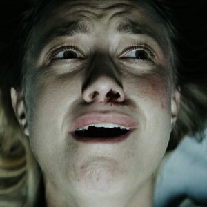 Bilder Breeder - Die Zucht