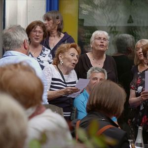 Bilder Pingouin & Goéland et leurs 500 petits