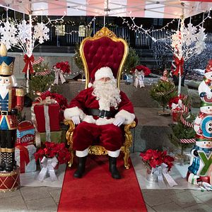 Bilder Christmas On Ice