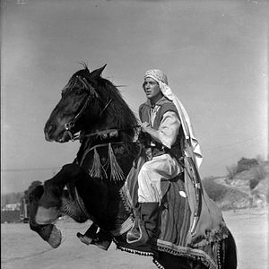 Bilder Das goldene Schwert