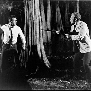 Bilder New York Express